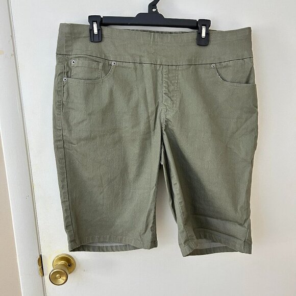 Chadwick's of Boston Sage Green Shorts 16W - Picture 1 of 4